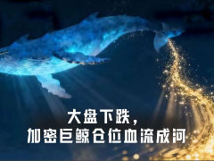 BTC跌破6万美元、ETH失守1600美元，加密巨鲸在为市场扛单？