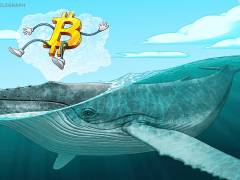 链上数据预警：5万枚比特币（BTC）深陷亏损泥潭，新一轮投降抛售风险逼近市场