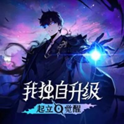 我独自升级：起立·觉醒正式版(RPG动作冒险游戏) Solo Leveling v2.10.2 安卓版