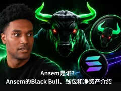 Ansem是谁？Ansem的Black Bull、钱包和净资产介绍