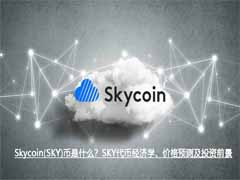 Skycoin(SKY)币是什么？SKY代币经济学、价格预测及投资前景