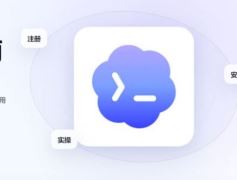 Codex客户端终端乱码的解决方法
