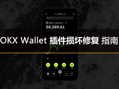 欧易Web3钱包插件损坏怎么办？OKX Wallet插件损坏修复指南