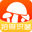 菌窝子(蘑菇识别软件) v4.6.4 安卓版