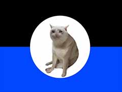 什么是现金猫（CASHCAT）币？2026年Robinhood Chain迷因币新手指南