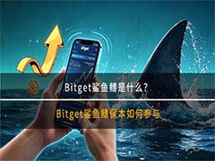 Bitget鲨鱼鳍是什么？Bitget鲨鱼鳍保本如何参与