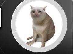 近期备受关注的Cash Cat(CASHCAT)币是什么？CASHCAT代币经济学和路线图