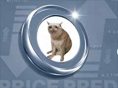 Cash Cat (CASHCAT)币价格预测：CASHCAT合约飙升355%，已经见顶？