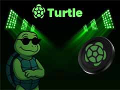 TURTLE币是什么？如何购买？TURTLE代币经济学、价格预测及投资前景