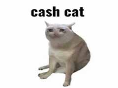 CASHCAT如何让新链登顶DEX榜首？拉动新链 DEX 登顶，成交 8.77亿