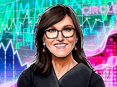 尽管此前大幅抛售套现，Cathie Wood旗下ARK仍逆势加仓Circle 22万股看好稳定币前景