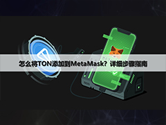 怎么将TON添加到MetaMask?详细步骤指南