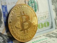 比特币迎来史上最温和熊市,空头集中离场ARK、Bitwise及多位分析师释放筑底看涨信号