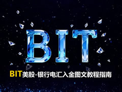 BIT美股-银行电汇入金图文教程指南