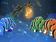 Empery Digital投资2000万美元布局AI数据中心，持续减持比特币调整国库