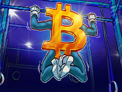 比特币(BTC)六成供应处于盈利状态分析警示复苏或将回滚投资者需警惕乐观落空