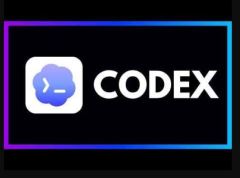 Codex中API Key与KKFlow配置精简教程