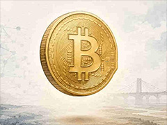 虚拟钱包软件有哪些好用?2026年热门虚拟钱包软件盘点