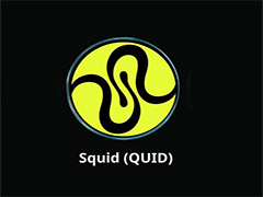 什么是 Squid (QUID)币？跨链交换和桥接的一体化平台介绍