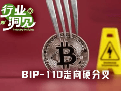 比特币BTC最大治理冲突升级,BIP-110从软分叉走向硬分叉