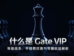 Gate VIP新手指南