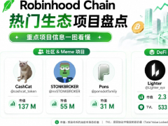 Robinhood Chain中五大热门生态项目盘点与参与指南:谁会成为下一个赢家