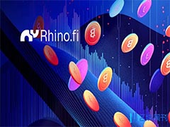 Rhino.fi推出企业跨稳定币清算