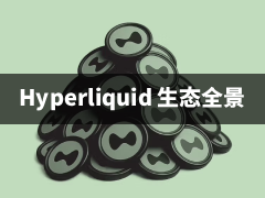 Hyperliquid生态全景剖析:从链上永续交易所到全球价值流通基础设施
