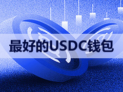 最好的USDC钱包