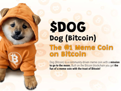 DOG币是什么?比特币链上的DOG币机制与运作方式全解