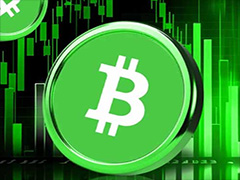 BCH 单日飙升 17%