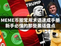 MEME币圈常用术语速成手册:新手必懂的那些黑话盘点