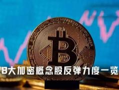 BTC重返8万美元！8大加密概念股反弹力度一览