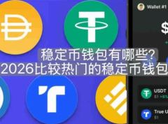 2026稳定币钱包盘点