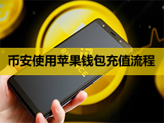 币安Binance苹果钱包入金教学：用Apple Pay购买加密货币，完整图文流程