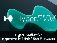 HyperEVM是什么?HyperEVM新手操作完整教学(2026年)