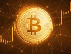 比特币新持有者有多少？比特币新持有者分析