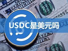 2026年USDC完整介绍:USDC是稳定币吗?USDT差别与风险一次看