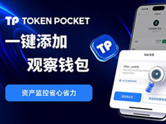 TP观察钱包怎么设置?如何只看地址不导入私钥?