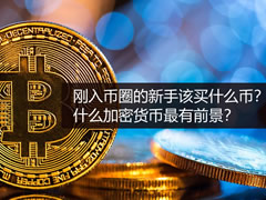 刚入币圈的新手该买什么币？什么加密货币最有前景？如何配置？