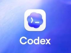 从零搭建自己的Codex Plugin Marketplace的实践指南