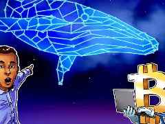 比特币(BTC)巨鲸未实现收益突破 90 亿美元,高位浮盈催生卖方离场风险