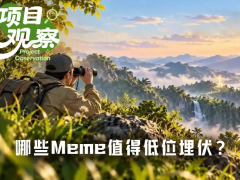 潜力Meme币盘点