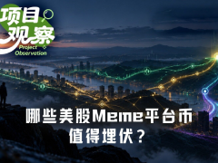收入VS回购,哪些币股Meme平台币值得埋伏?