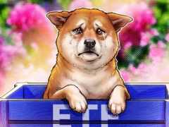 市场遇冷无人接盘，Bitwise推出不足一年终止狗狗币（DOGE）E