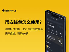 币安钱包怎么使用？币安钱包创建+充币+资产兑换+获取gas费全教程