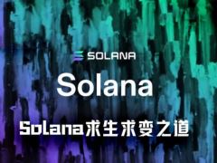 加密纪元17年，Solana求生之路指向何方？