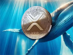 XRP暴跌近10%，Hyperliquid顶级巨鲸却逆势做多
