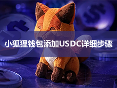 USDC添加到MetaMask完整教程：以太坊、Polygon、BSC、Avalanche全网络