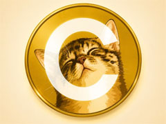 CATE带火猫系Memecoin，Solana Meme战壕又热起来了吗？